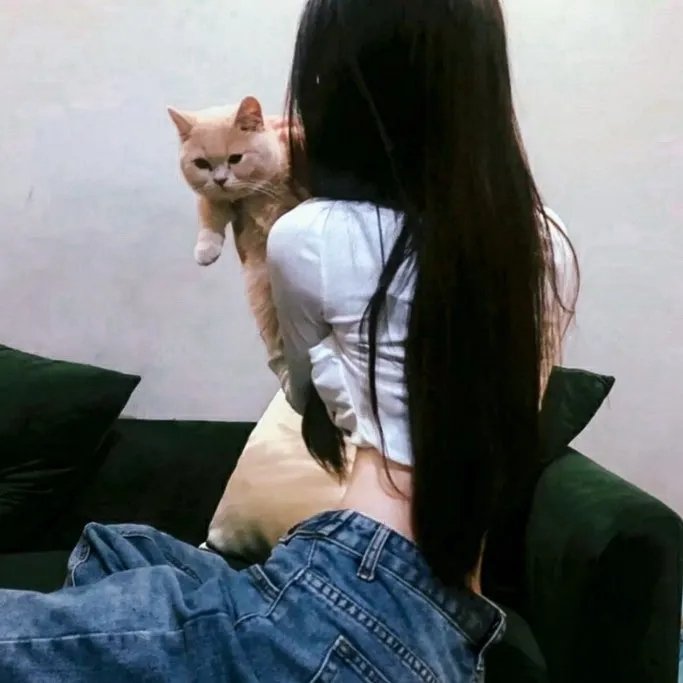 记忆碎片
